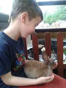 Child with rabbit